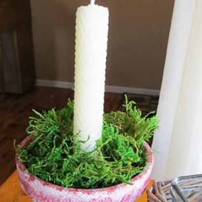 Read more about the article Family Traditions • Moss Planters