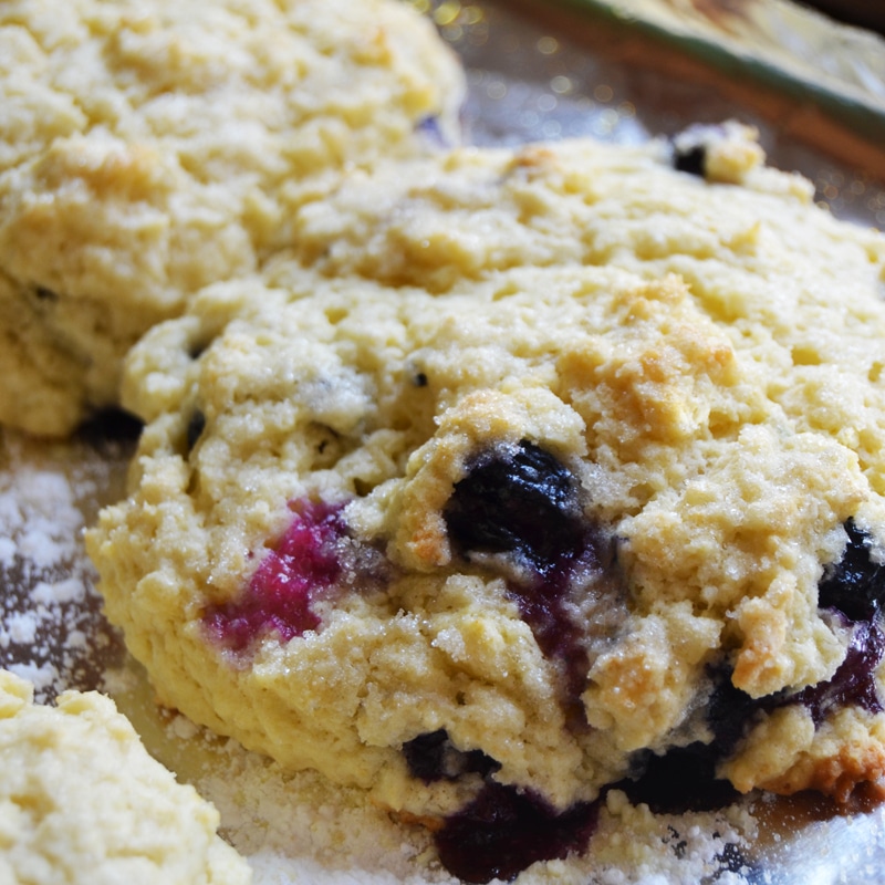 Blueberry Buttermilk Scones My Best Scone Recipe Joyous Home