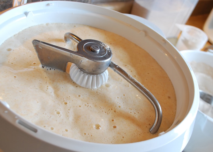 Best Kitchen Aid Mixer Pizza Dough 4 Breadmaking sponge