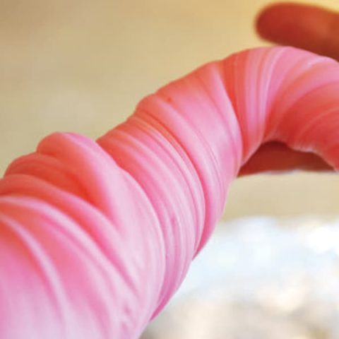 Homemade Taffy-image