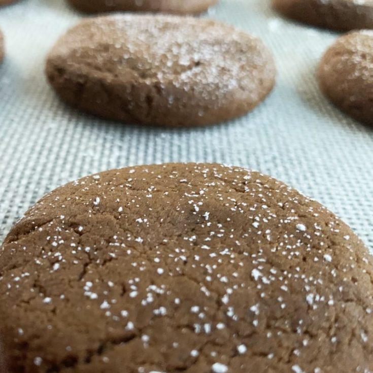 Old Virginia Gingerbread Cookies