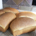 Homemade Whole Wheat Bread