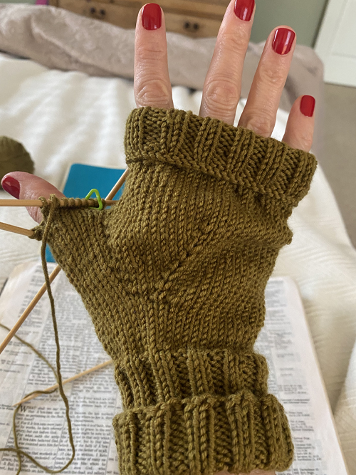 Knitted Fingerless Gloves  Beginner Knitting 