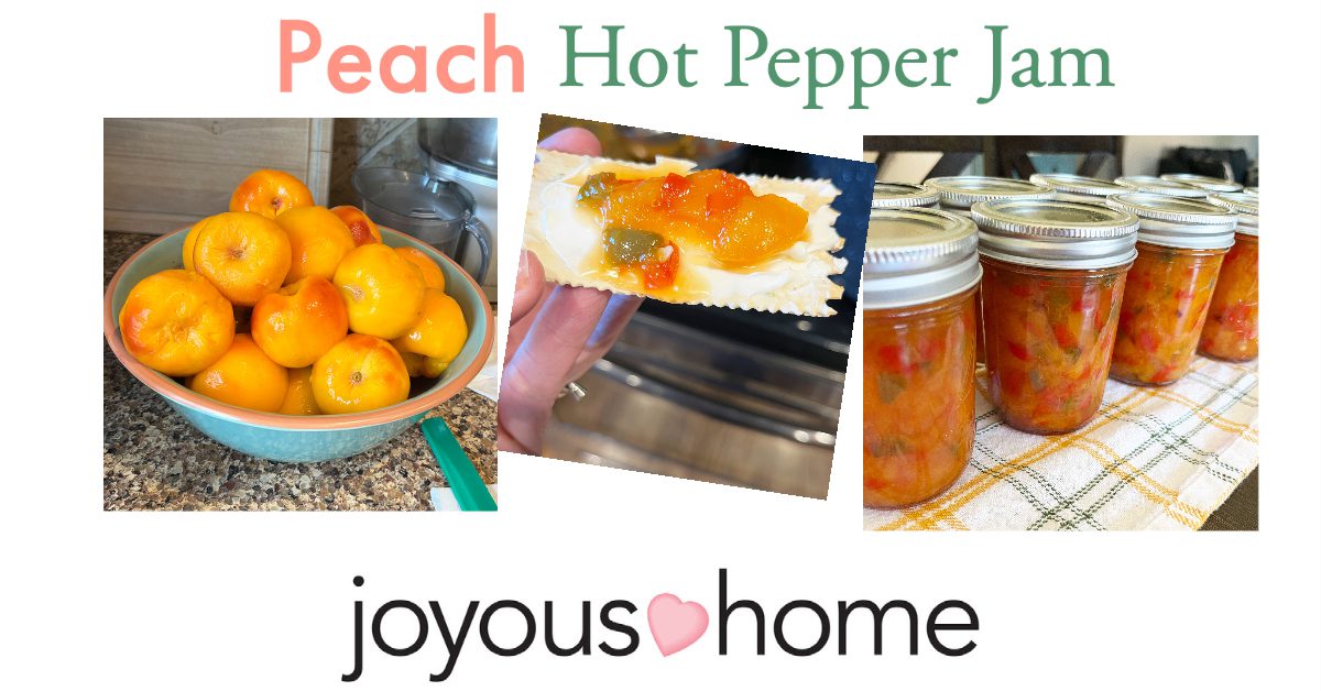 Peach and Hot Pepper Jam Joyous Home