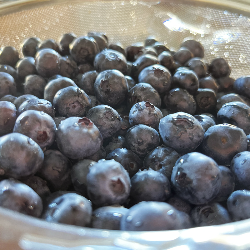 Fresh blueberries for pastry.