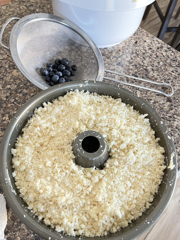 Crumb topping on the best sour cream coffee cake at Joyous Home.